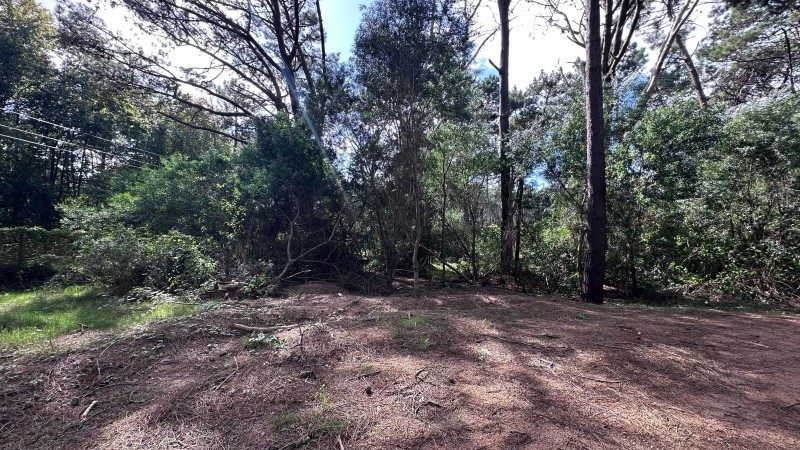 Lote en venta en La Reserva de Montoya